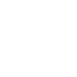 Data Nexus Labs logo